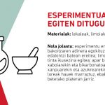 esperimentuak