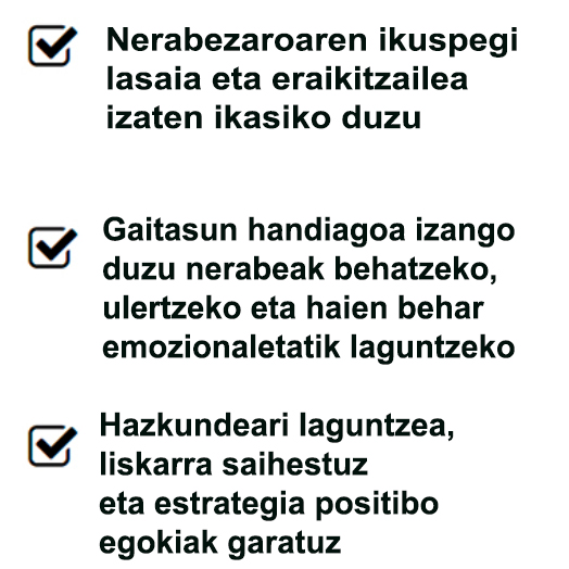 Nerabezaroaren helburuak