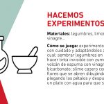 experimento